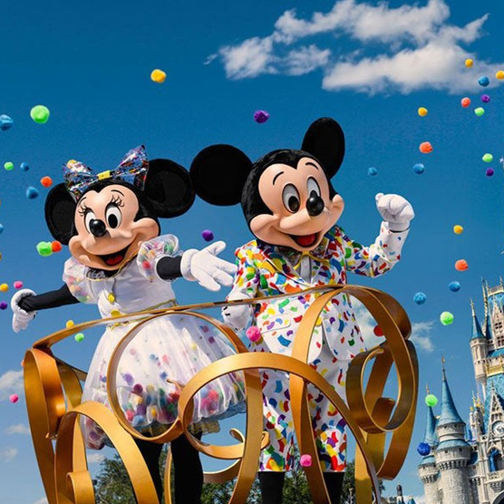 Master Plan Developed by Disney